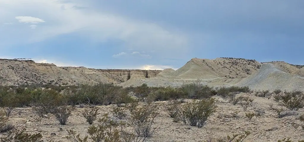 Picture 25