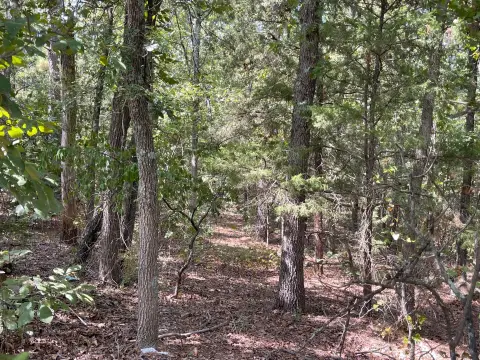 Wooded Land in Antlers, OK