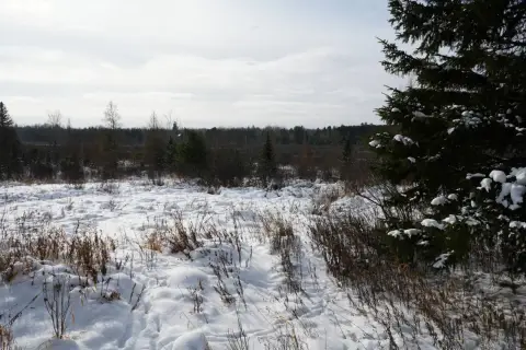 Brantwood, WI Vacant Hunting Land