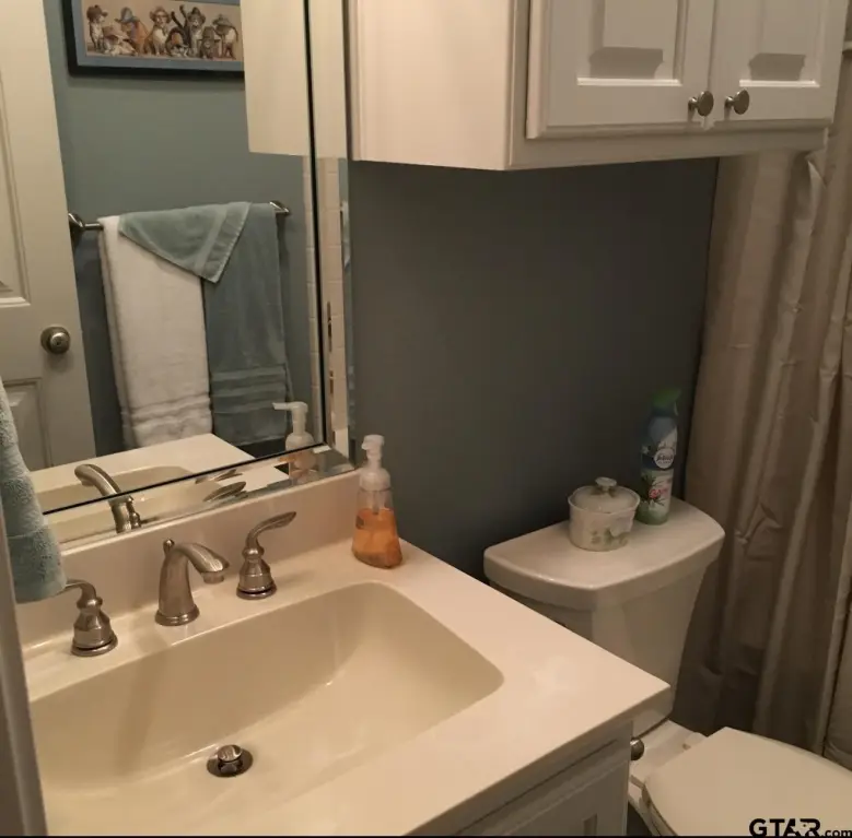 Picture 5