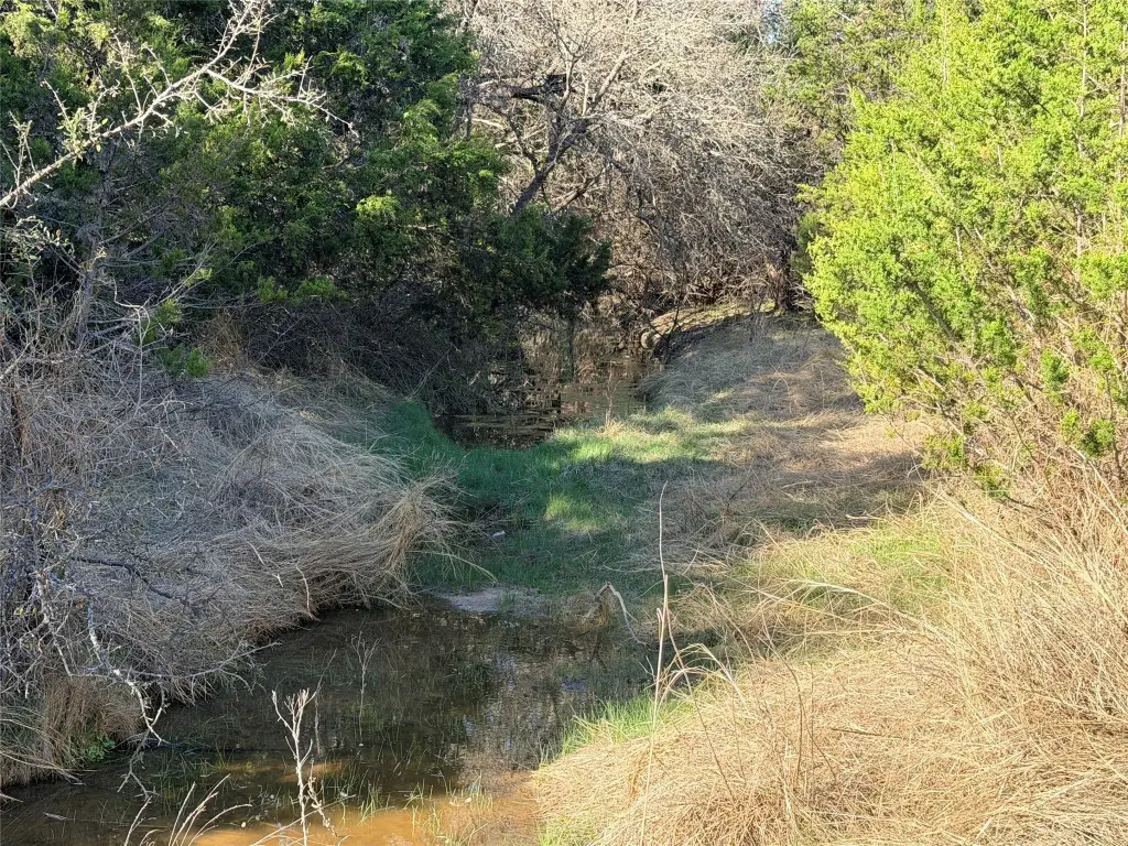 Picture 39