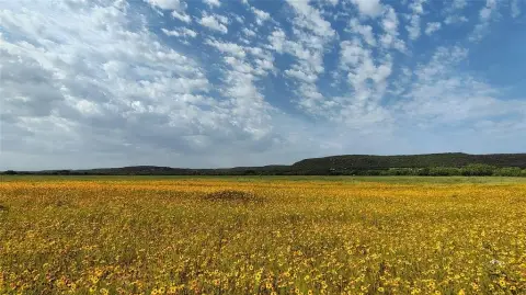 Pristine Land Near Abilene, TX