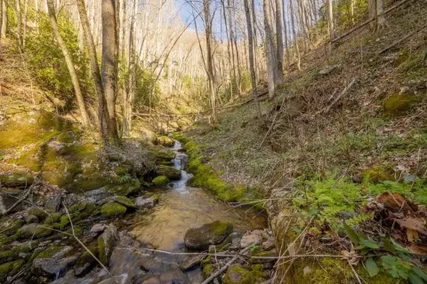 Land with Waterfall Near Sylva