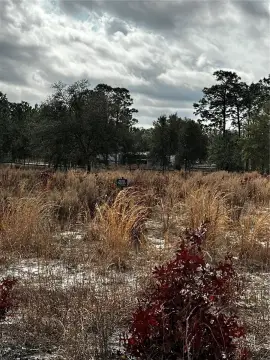 Cleared Land Perfect for Mini-Farm