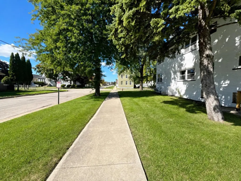 Picture 20