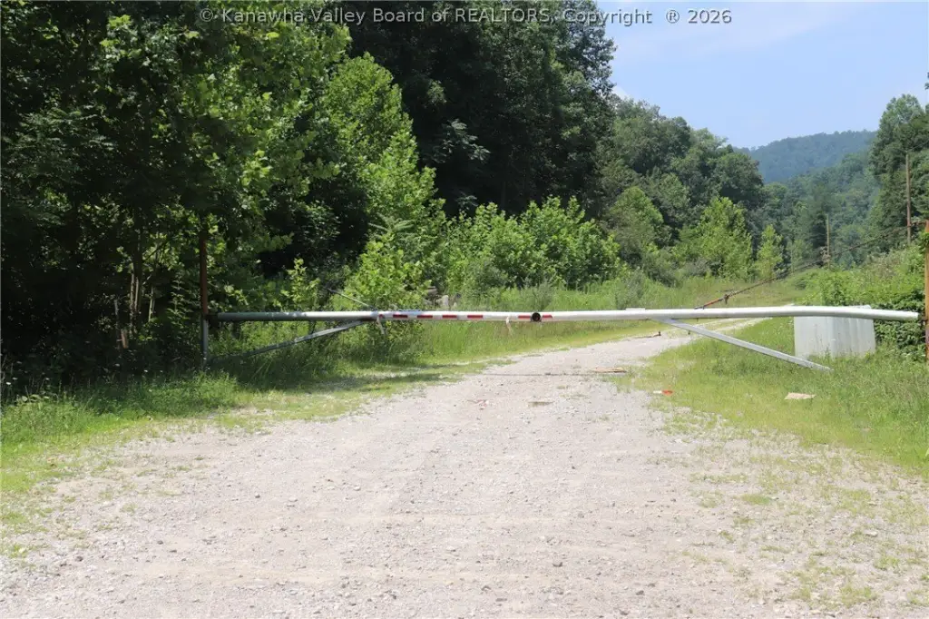 Picture 15