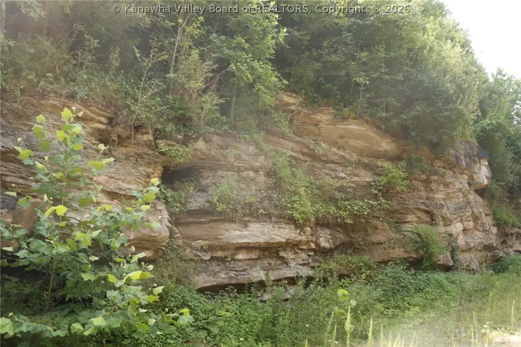 Picture 16