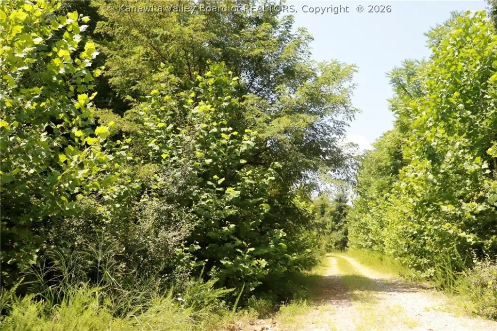 Picture 36