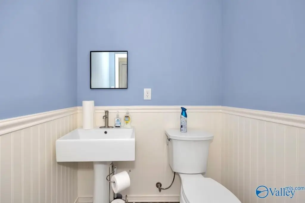 Picture 17