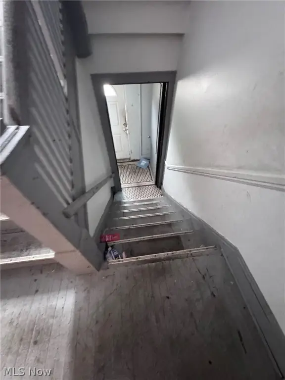 Picture 6