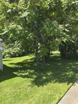 Residential Land in Bloomington, IN