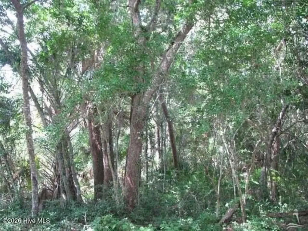 Picture 8