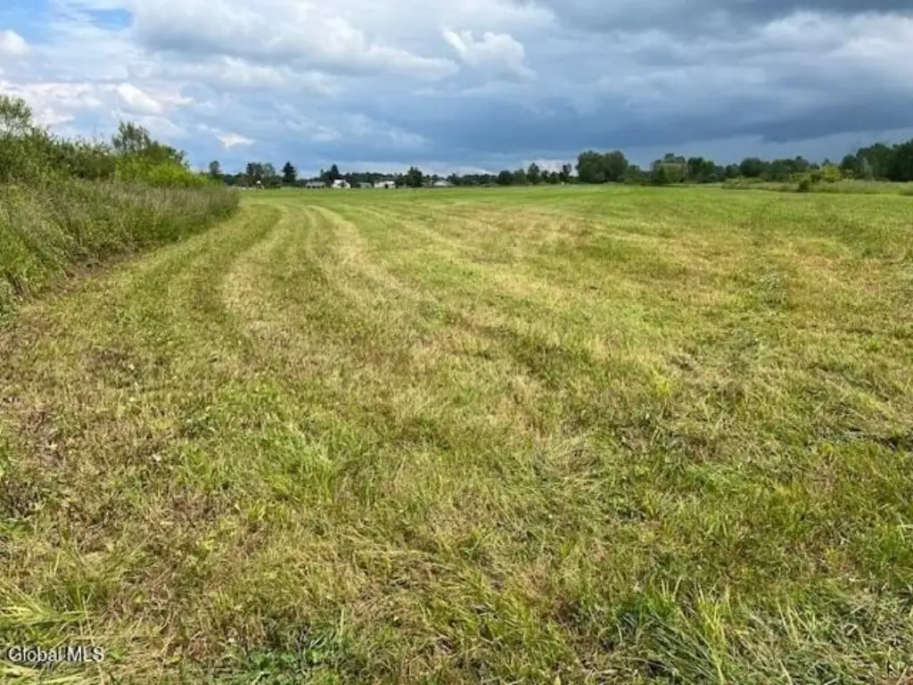 Picture 8