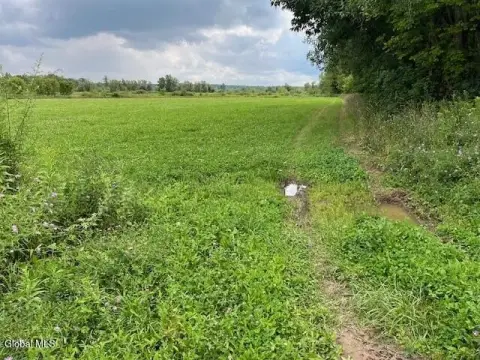 Cleared Agricultural Land