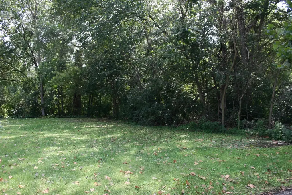 Picture 12
