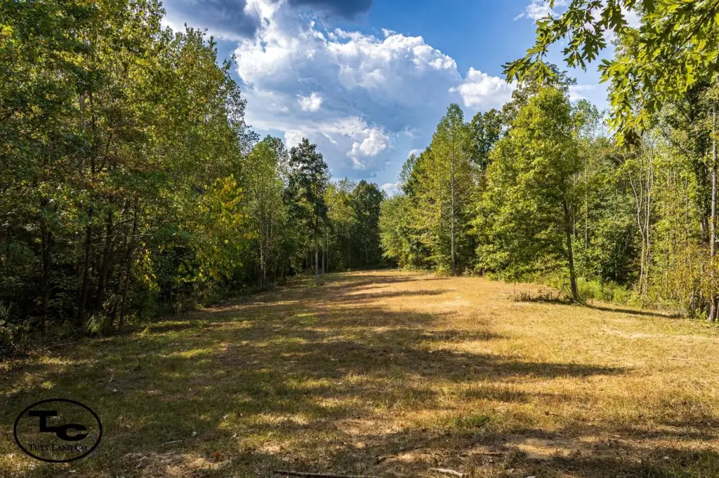 Picture 38