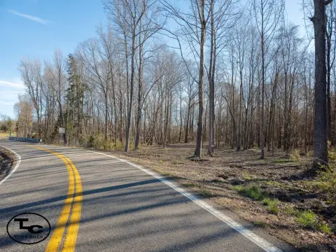 Silerton, TN Hunting and Timberland