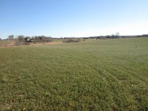 74.22 Acres of Cropland
