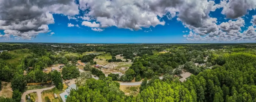 Picture 12