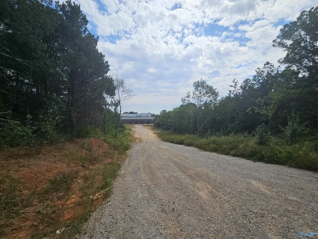 Picture 4
