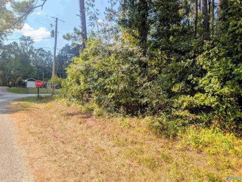 Leesburg, AL Unrestricted Corner Lot