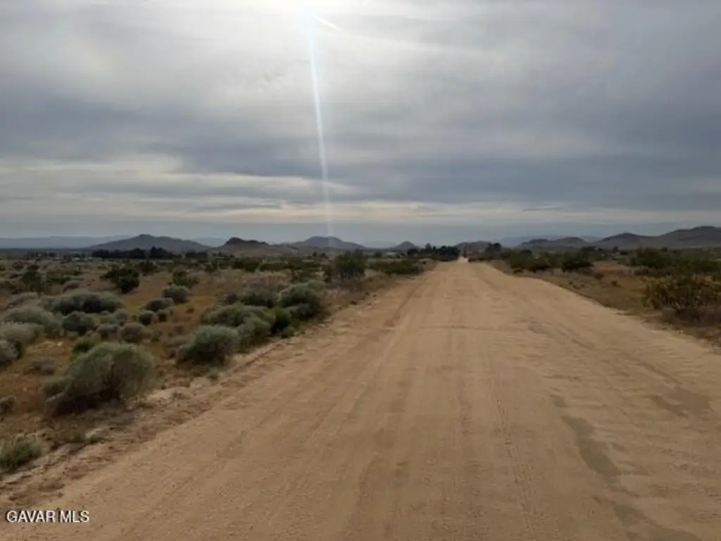 Picture 17