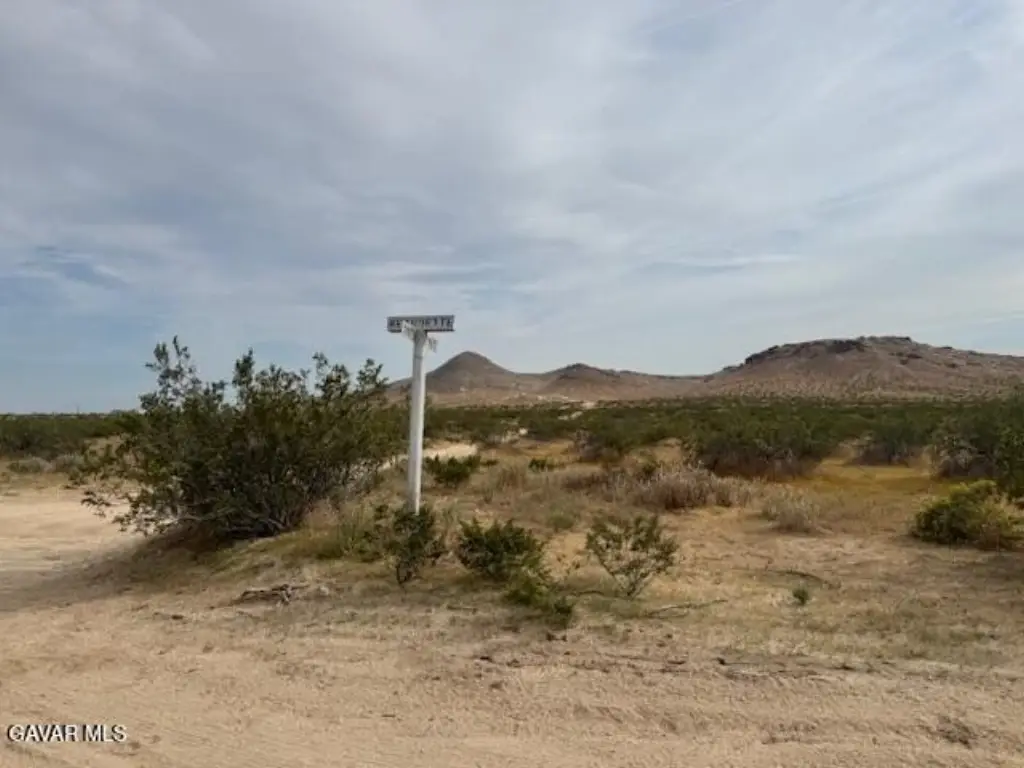 Picture 15