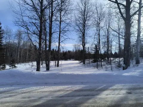 Michigan Land Parcel For Sale