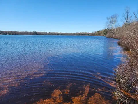 Waterfront Lakefront Land Parcel