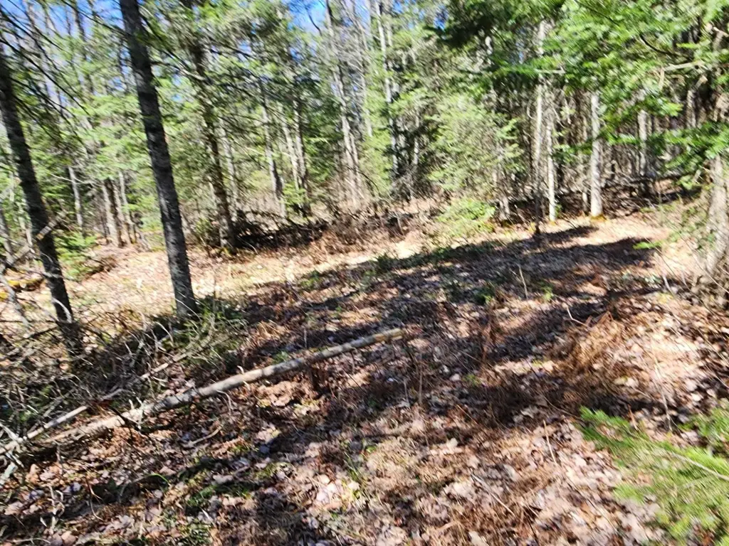 Picture 13