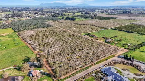 55 Acre Almond Orchard