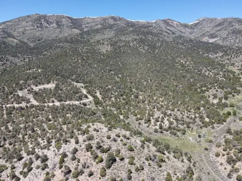 Nevada Land For Sale