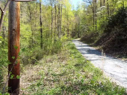 Mountain Land Tract For Sale