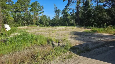 Ready-to-Build Land in Deland, FL