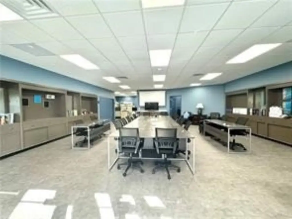 Picture 5