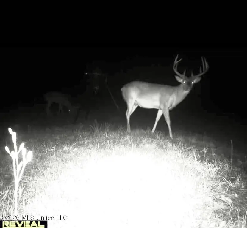 Picture 30