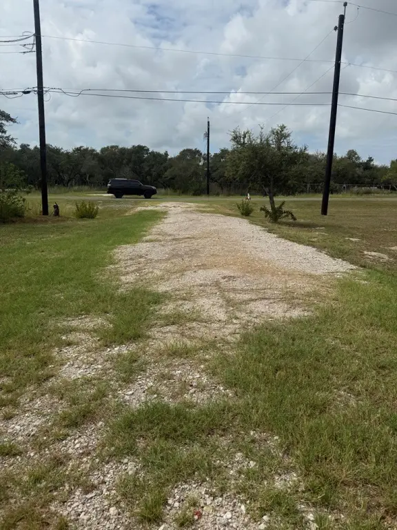 Picture 2