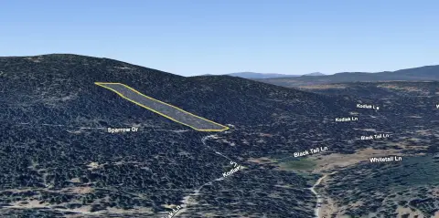 Forested Land Parcel in Bonanza