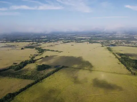 164 Acres in Prairiland ISD
