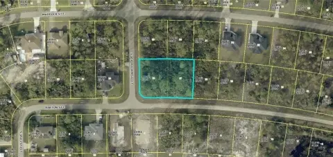 Oversized Corner Lot in Lehigh