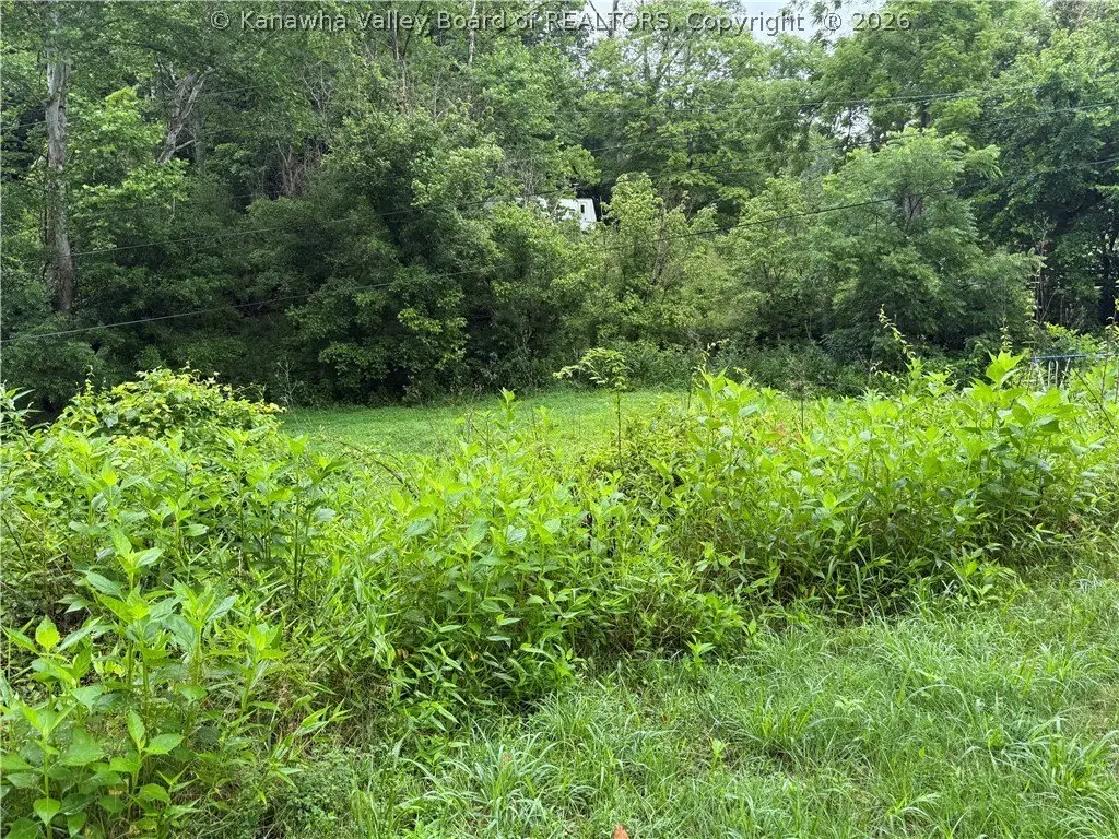 Picture 6