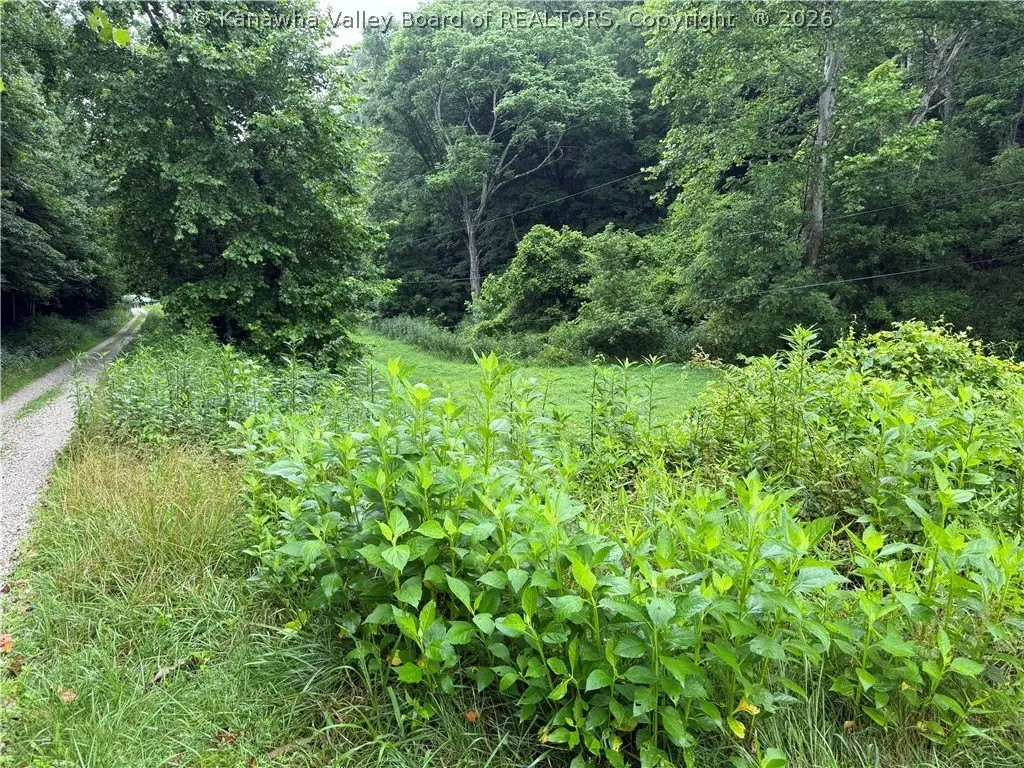 Picture 5