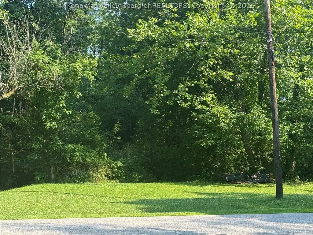 Picture 3