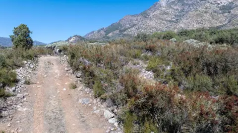 70.5 Acres in Springville Foothills