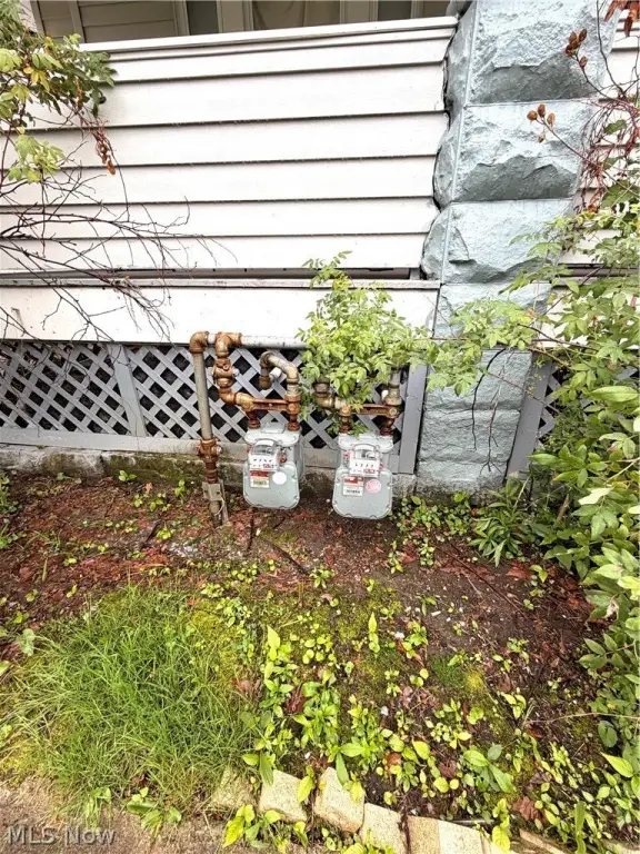 Picture 17