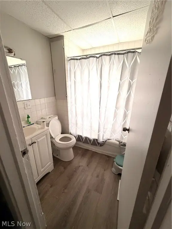 Picture 8