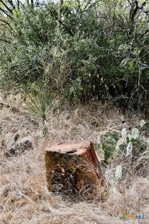 Picture 31
