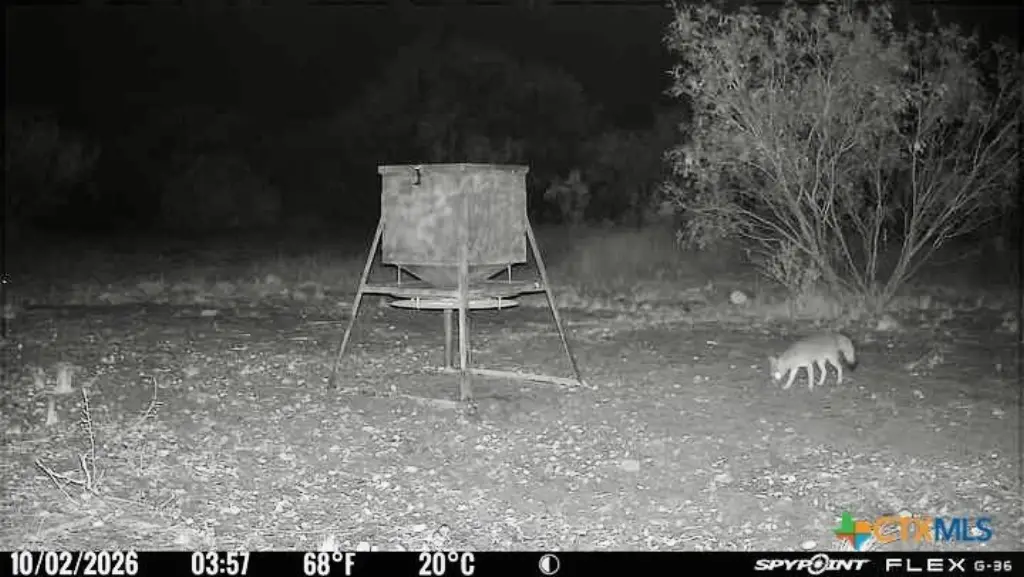 Picture 13