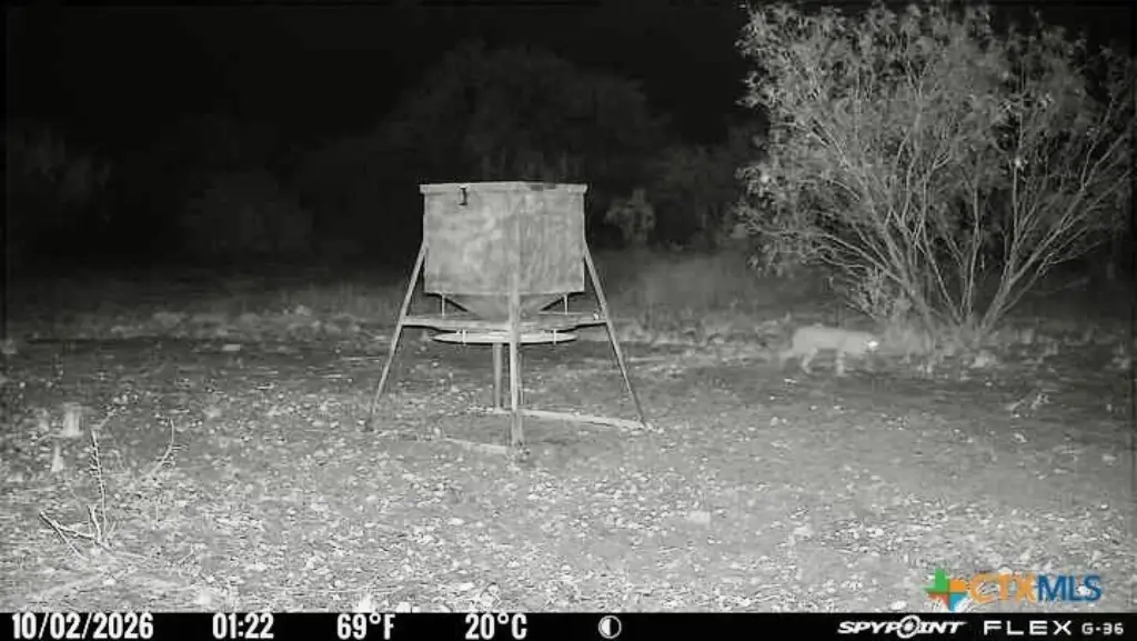Picture 14