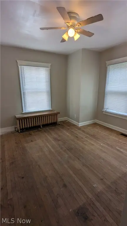 Picture 8